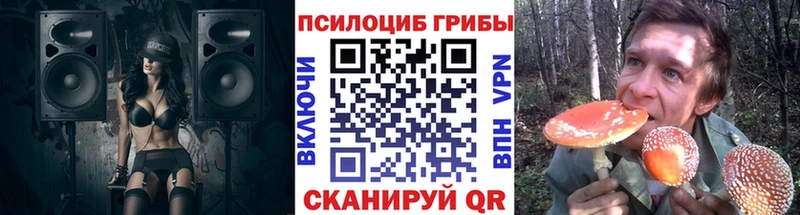Галлюциногенные грибы Cubensis  Спасск 
